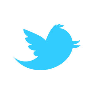 twitter newbird boxed blueonwhite